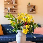Apartamento Centaurus In Old Town With A Big Terrace And View To Olympus Mountain ! *